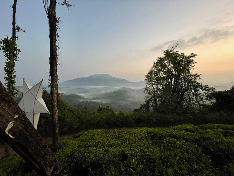 Author reminiscing about life in Wayanad, kerala, India.