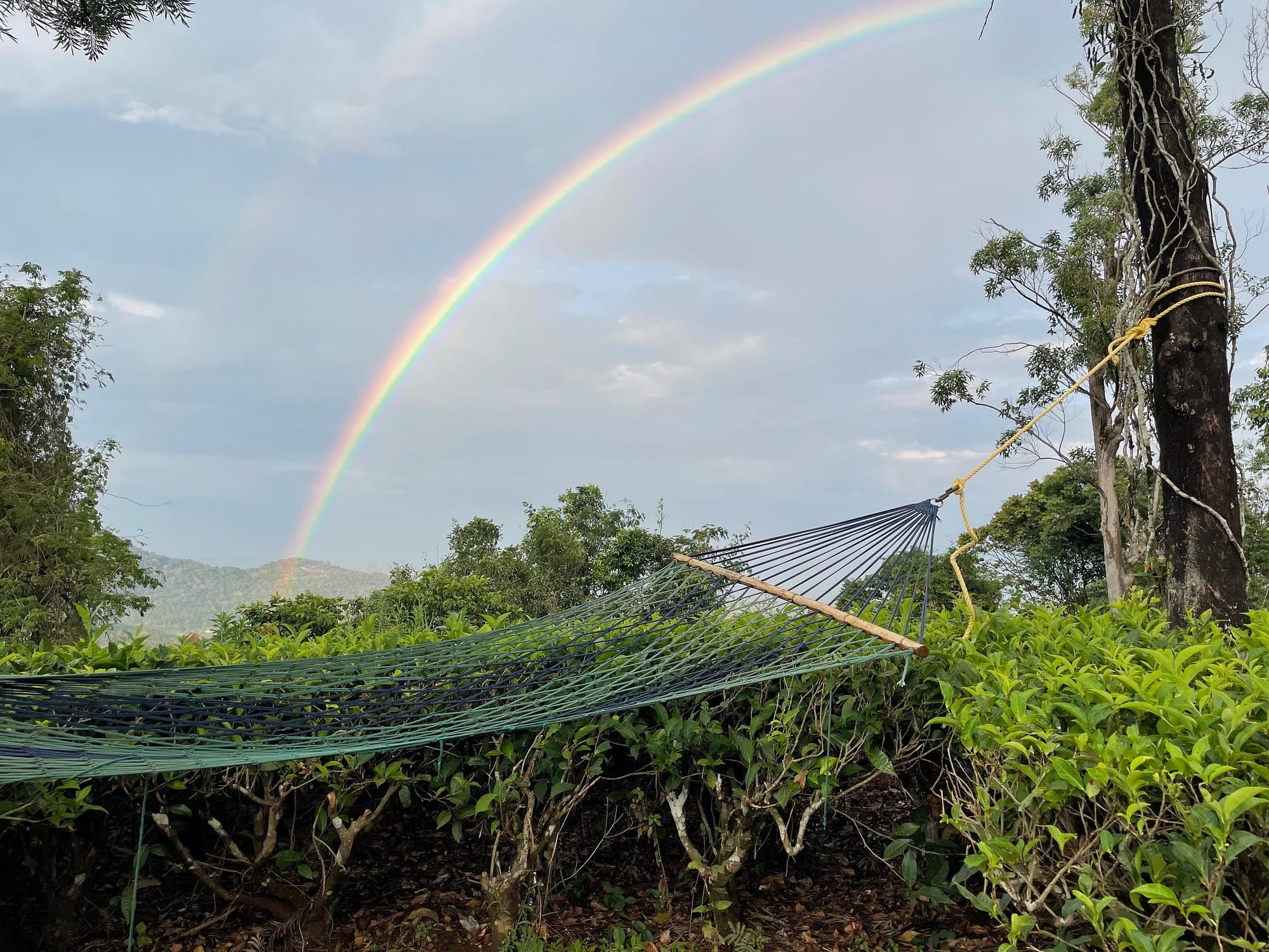 An image with two rainbow. A scenery set in Wayanad, Kerala, India.
