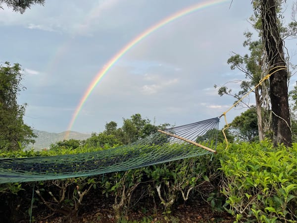 An image with two rainbow. A scenery set in Wayanad, Kerala, India.
